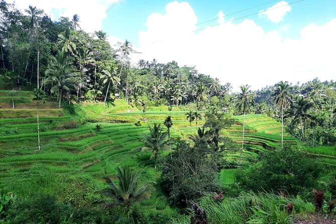BALI INSTAGRAM TOURS; Heaven Gate, Tirta Gangga, Tukad Cepung waterfall - Tirta Gangga Water Gardens: royal water palace vibes for your koi-and-statue shots