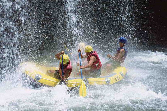 Bali Jungle White Water Rafting Adventure - Key Highlights You’ll Actually Remember