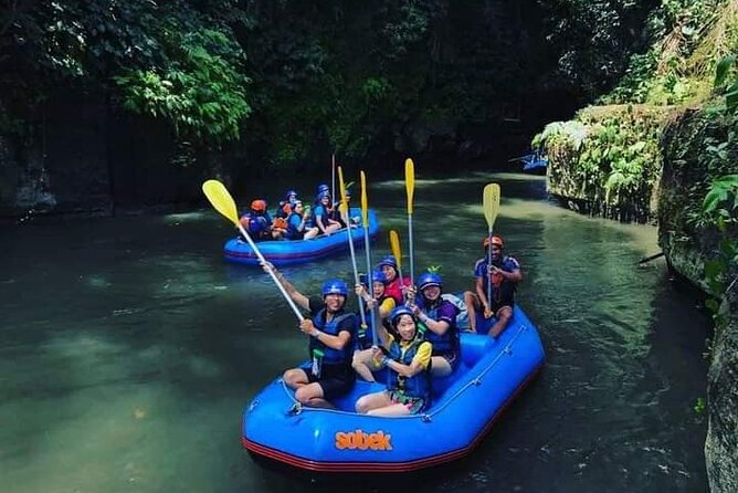 Bali Jungle White Water Rafting Adventure - Ayung River Rafting in Ubud: What the Experience Feels Like