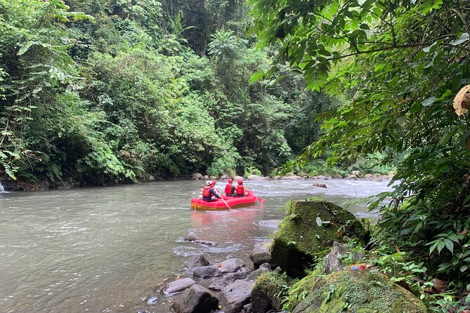 Bali Jungle White Water Rafting Adventure - Packing for Getting Wet: Small Choices That Save Your Day