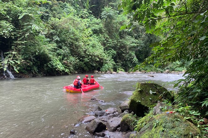 Bali Jungle White Water Rafting Adventure - Who This Bali Rafting Trip Fits Best