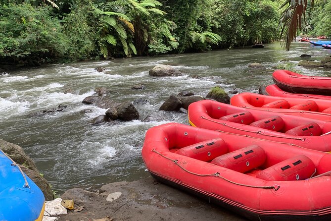 Bali Jungle White Water Rafting Adventure - Should You Book Ayung River White-Water Rafting in Ubud?