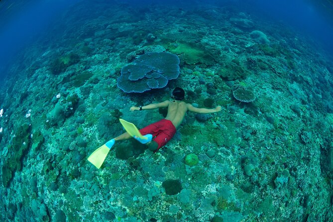 Bali Lembongan Island Beach Club Day Trip - Nusa Lembongan Beach Club: snorkeling gear, unlimited banana boats, and a big menu of fun