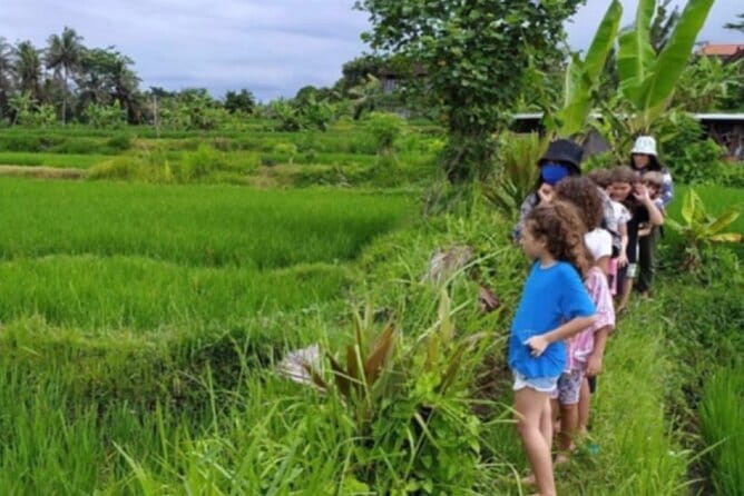 Bali: Lempuyang Temple, Waterfall & Rice Terrace Private Tour - Tegalalang Rice Terraces and Subak Irrigation: How to Walk It Smart
