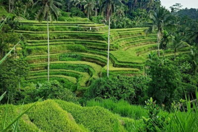 Bali Lempuyang Temple, Waterfall with Rice Terrace Tour - Lempuyang Temple and the Heaven Gate Viewpoint