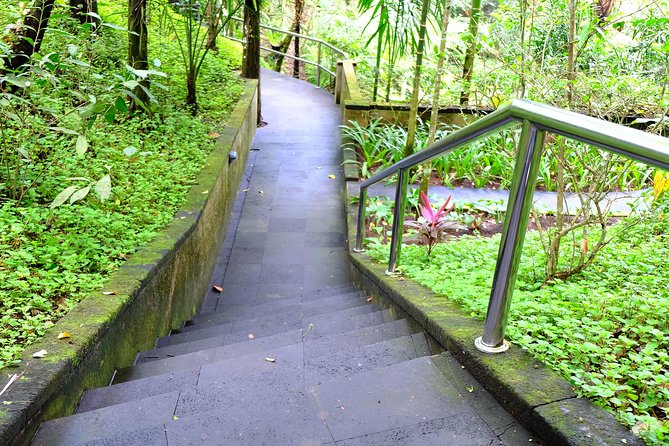 Bali Mason Adventure White Water Rafting - Price and Value: Is $75 Fair for This Package?