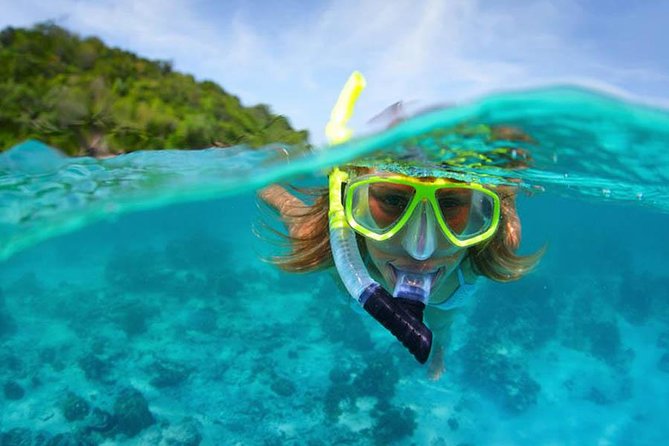 Bali Menjangan Island Snorkeling Day Tour - What Happens From Kuta Beach to Menjangan Island
