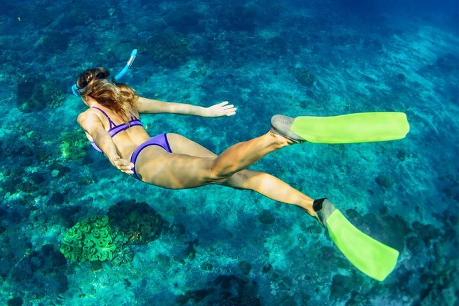 Bali Menjangan Island Snorkeling Day Tour - Lunch, Beach Time, and How to Avoid the Midday Slump