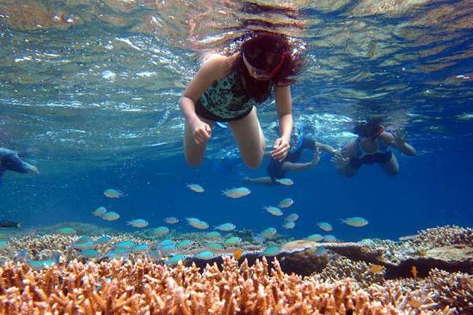 Bali Menjangan Island Snorkeling Day Tour - The 5:30am Start and Door-to-Door Transport (What the Timing Really Means)