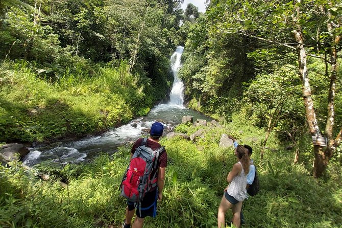 Bali Most Scenic Waterfalls Trekking - Why Wanagiri Hills makes this waterfall trek worth your time
