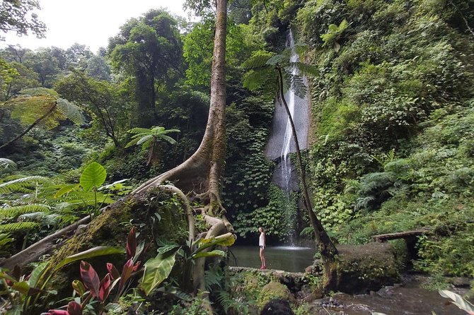 Bali Most Scenic Waterfalls Trekking - The full day route: lakes, temple areas, and the waterfall circuit