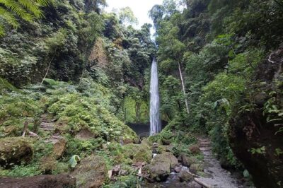 Bali Most Scenic Waterfalls Trekking - Price and logistics: what you’re really paying for
