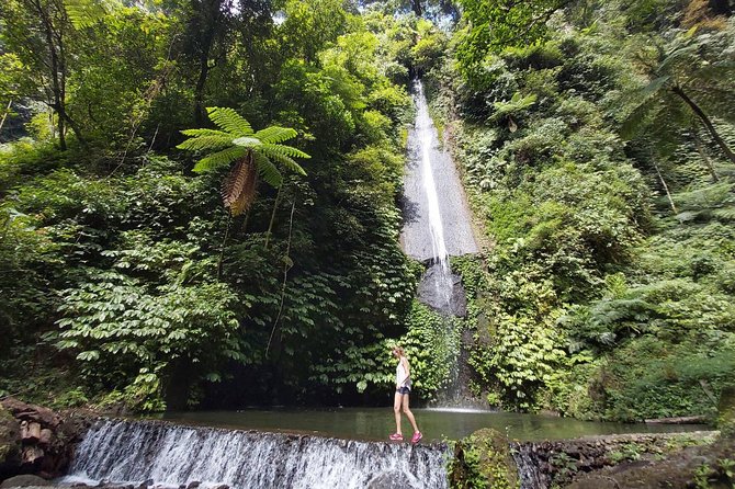 Bali Most Scenic Waterfalls Trekking - Best for: who will love this trek