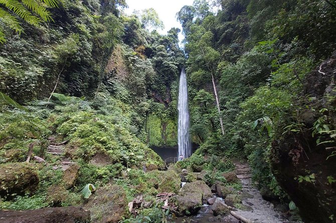 Bali Most Scenic Waterfalls Trekking - Price and logistics: what you’re really paying for