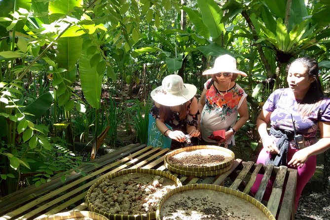 Bali Night Market Experience and Ubud Highlights tour - Tegalalang rice terraces plus Luwak coffee: walking views that stay photogenic