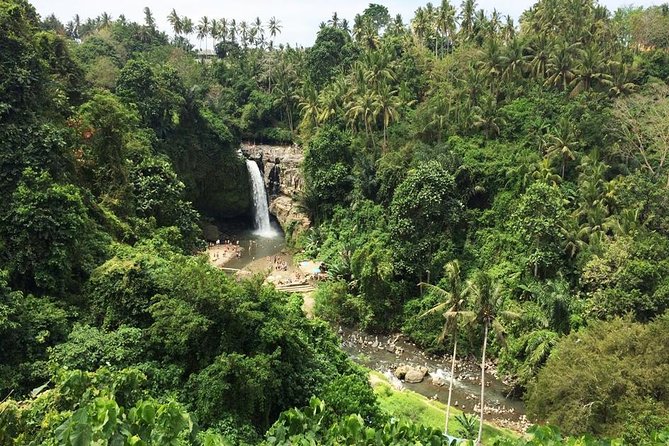 Bali Night Market Experience and Ubud Highlights tour - Price and value: what $45.50 buys you (and why it can make sense)