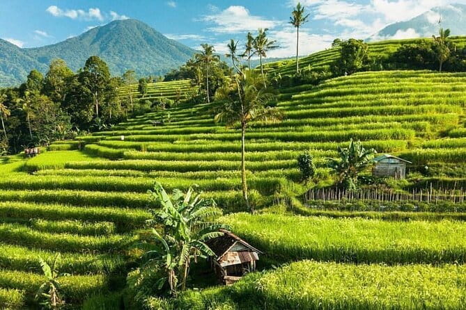 Bali : Northern Bali Private Day Trip with Transfer - Ulun Danu Beratan Temple: the photographed Balinese icon in context
