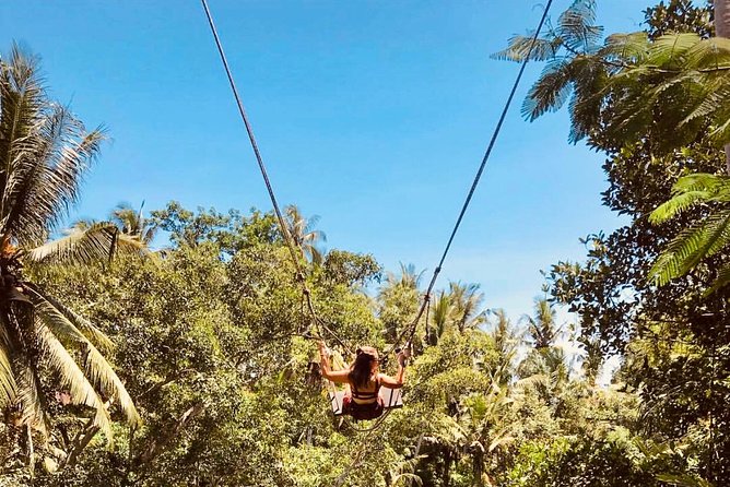 Bali: Nusa Lembongan Snorkeling-Island Tour Daytrip-All Inclusive - Mangrove Point (boat time): a different kind of nature stop