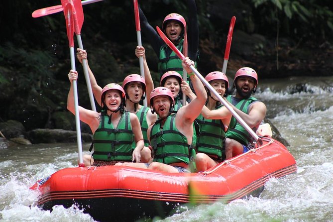 Bali Private Car Charter Tour with English Speaking Driver - Private driver freedom in Ubud and South Bali