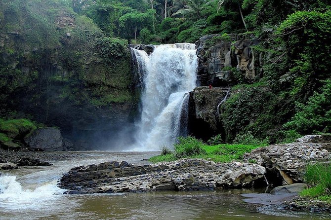 Bali : Private Car Charter with English Speaking Driver - Stop 2: Tegenungan Waterfall for a refreshing break