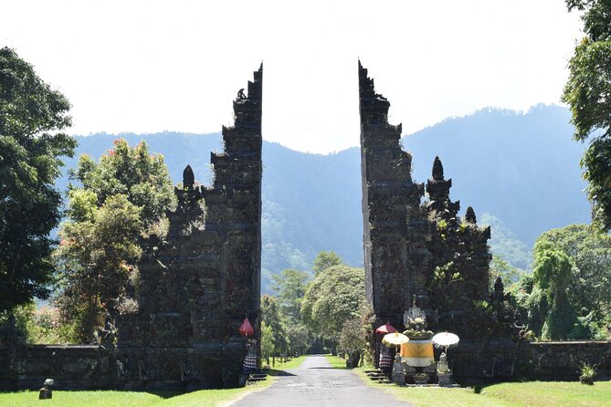 Bali : Private Car Charter with English Speaking Driver - Stop 5: Tegalalang Rice Terrace and Ceking Rice Field