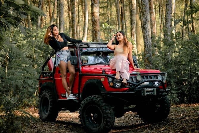 Bali Private Car Hire with Chauffeur - Who should book this, and who might not need it