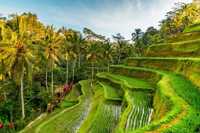 Bali Private Car Hire with Driver - Stop-by-Stop Guide: What Each Place Is Good For (and What to Watch)