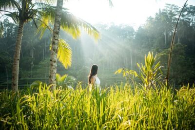 Bali Private Photographer & Drone - Where you’ll likely shoot: rice terrace, coffee plantation, and Bali Swing