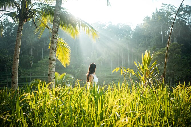 Bali Private Photographer & Drone - Where you’ll likely shoot: rice terrace, coffee plantation, and Bali Swing