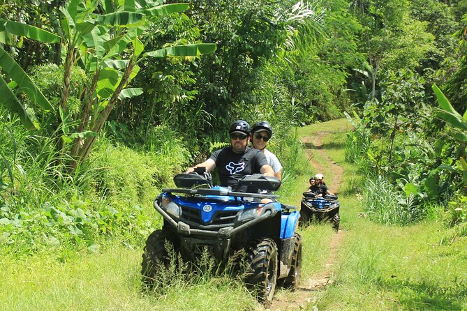 Bali Quad and Buggy Explorer Tour - What you pay ($43) and why it feels fair