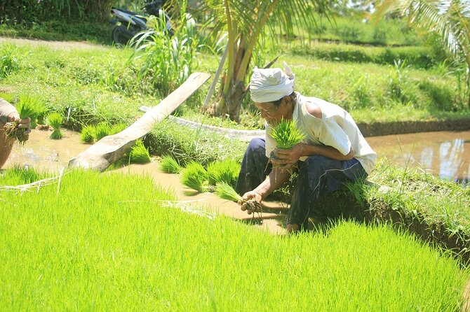 Bali Quad and Buggy Explorer Tour - Mud, dust, and how to dress for a real off-road day