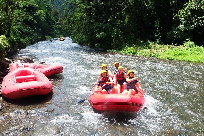 Bali Rafting Adventure + East Bali Tour - Tirta Gangga: the water palace stop that balances the day