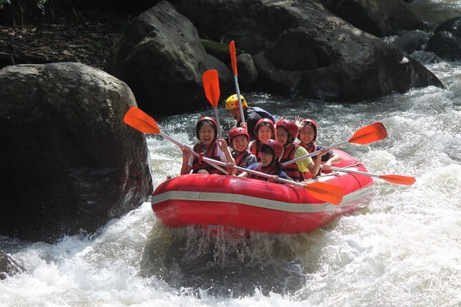 Bali Rafting : Bali Family Rafting in Ubud and Ubud Private Tour - Sacred Monkey Forest Sanctuary: A Short Stop With Real Chaos (In a Fun Way)