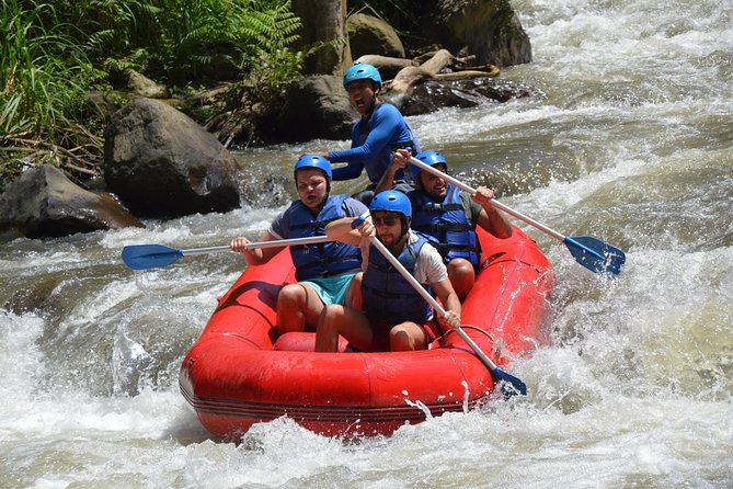 Bali Rafting - Ubud River Rafting With Lunch - Your 3 to 4 Hours on the River: What Happens From Check-In to Back