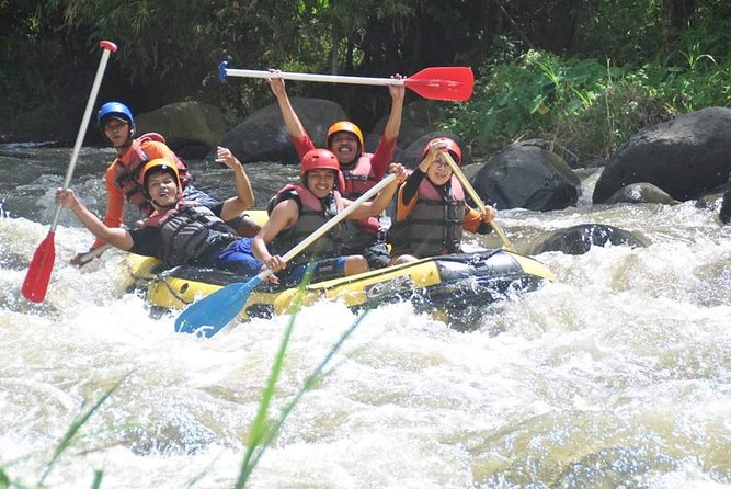 Bali Rafting - Ubud River Rafting With Lunch - Should You Book Bali Rafting With Lunch in Ubud? A Simple Checklist