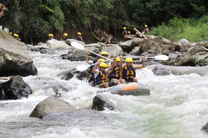 Bali Rafting Ubud with Lunch - Lunch after rafting: Indonesian buffet with rice-terrace views