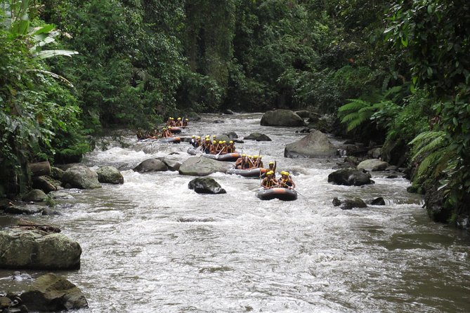 Bali Rafting Ubud with Lunch - Door-to-door transfers: how pickup changes the experience
