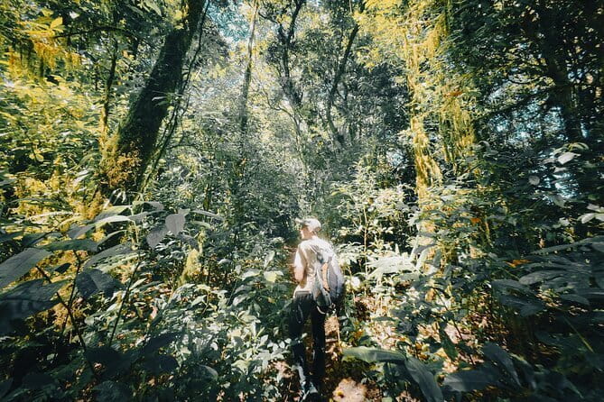 Bali Rainforest Hiking With Canoeing And Waterfall Adventure - Key things to know before you go