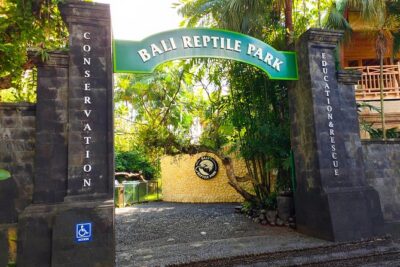 Bali Reptile Park Entrance Ticket - Jungle-style exhibits and your self-paced walk