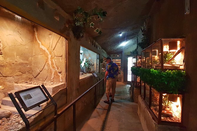 Bali Reptile Park Entrance Ticket - Reptile show, selfie spots, and the cafe break you’ll want