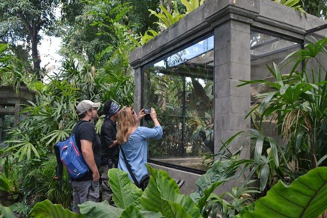 Bali Reptile Park Entrance Ticket - Crocodile feeding and the 150+ species question