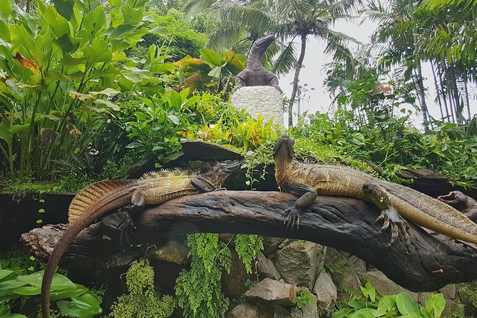 Bali Reptile Park Entrance Ticket - Animal welfare concerns: how to decide if this fits your comfort level