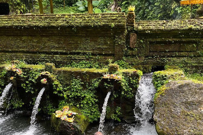 Bali Samanic Healing Purification Natural - Price and Value: Is $55 Per Person Actually Fair?