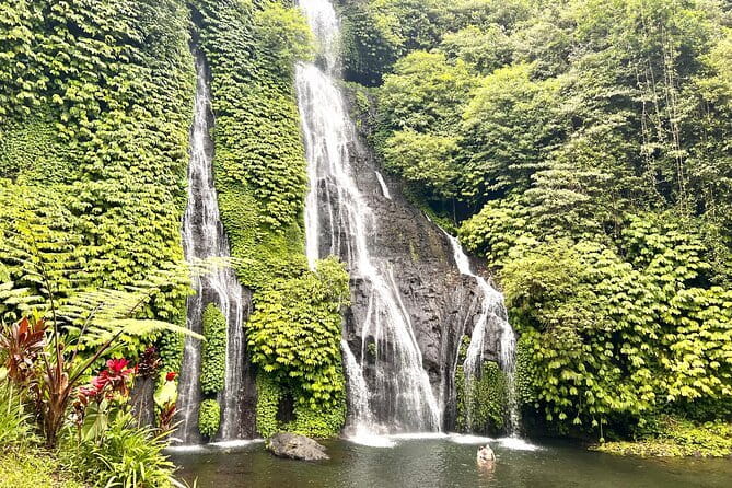 Bali Secret Waterfalls: Banyumala & Leke Leke Waterfalls - Banyumala Twin Waterfalls: a forest walk with banana trees and cool shade