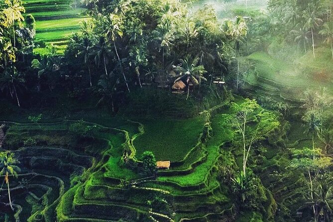 Bali Sightseeing - Don’t Miss the Way This Tour Feels: Sindu’s Calm Style