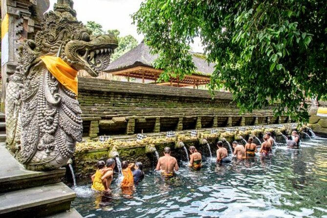 Bali Sightseeing Tour - Traditional village - Waterfall - Tirta Empul Temple: holy spring water and real purification