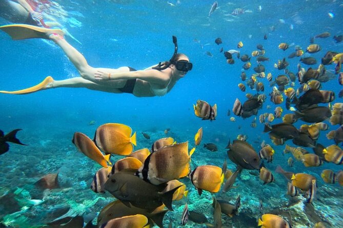 Bali Snorkeling 2 Spot at Blue Lagoon with Lunch & Transport - Why Blue Lagoon Snorkeling Works So Well in Bali