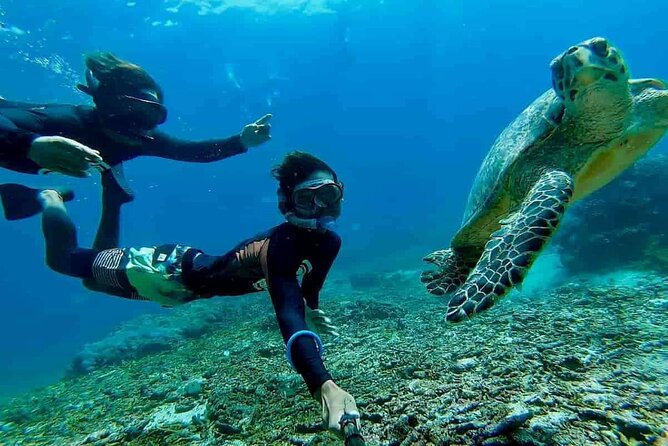 Bali Snorkeling 2 Spot at Blue Lagoon with Lunch & Transport - Stop 1 and Stop 2 on the Route: Kuta and Denpasar