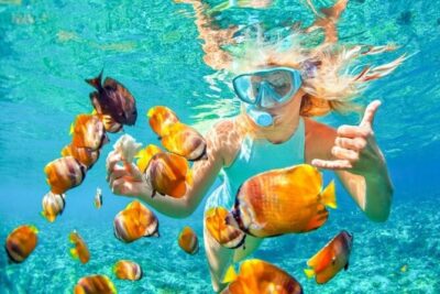 Bali Snorkeling 2 Spot at Blue Lagoon with Lunch & Transport - Padang Bai Beach Stop: Your Pre-Water Reset Point