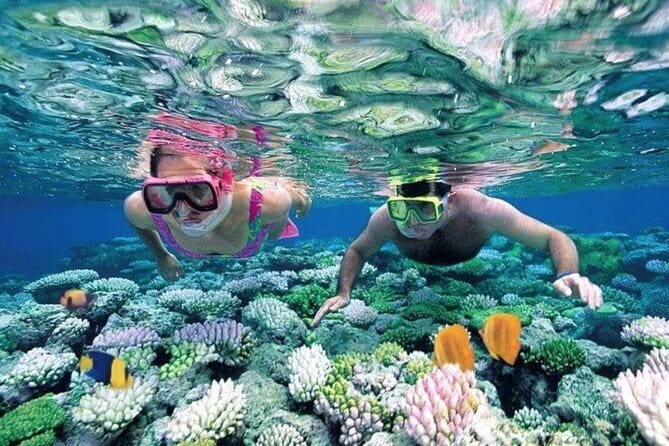 Bali Snorkeling at Blue Lagoon and Tanjung Jepun with Transfer - Key things that make this snorkeling trip work